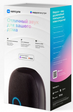 Умная колонка VK Капсула Маруся черный 30W 1.0 BT 10м (MRC01BL)