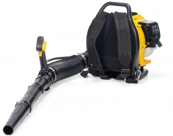 Воздуходувка Champion GBR333