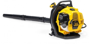 Воздуходувка Champion GBR333