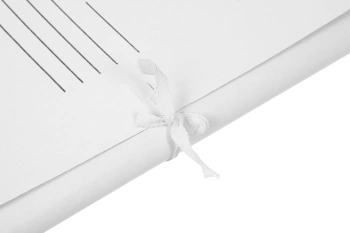 Папка на завязках Silwerhof ПЗ280 картон 0.5мм 280г/м2 белый