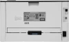 1377442_v05_s.webp