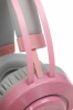 1379891_v10_s.webp