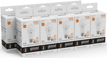 Лампа светодиодная Gauss Elementary  A67