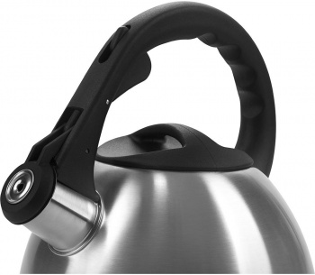 Чайник металлический Polaris Verde