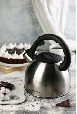 Чайник металлический Polaris Verde