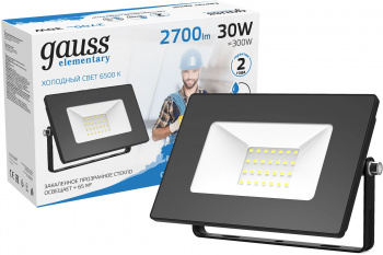 Прожектор уличный Gauss Elementary  613100330