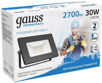Прожектор уличный Gauss Elementary  613100330