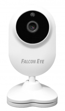 Камера видеонаблюдения IP Falcon Eye  Spaik 1