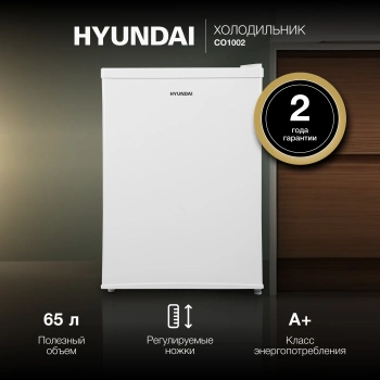 Холодильник Hyundai CO1002