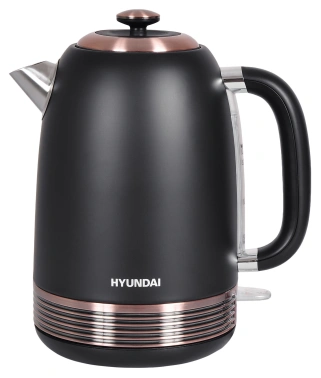Чайник электрический Hyundai HYK-S4501
