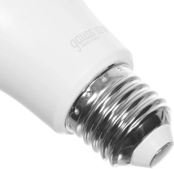 Лампа светодиодная Gauss Elementary  A60