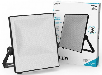 Прожектор уличный Gauss  EVO