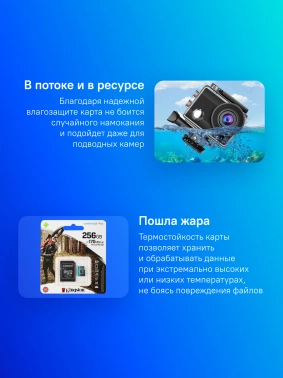 Флеш карта microSDXC 256GB Kingston  SDCG3/256GB