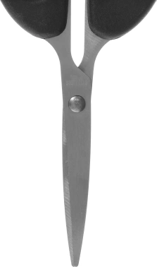 Ножницы Silwerhof 1398613 Class