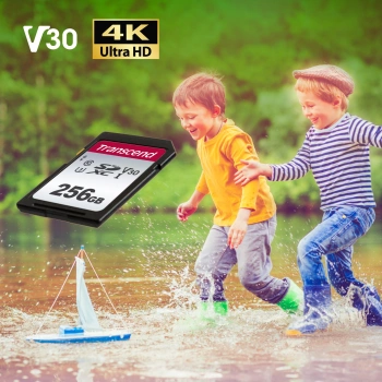 Флеш карта SDXC 256GB Transcend  TS256GSDC300S