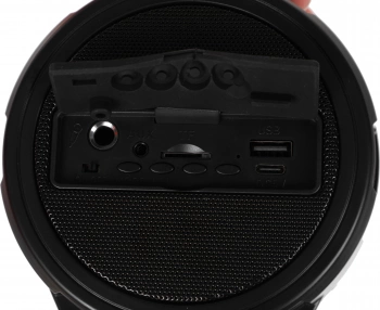 Колонка порт. Defender G24