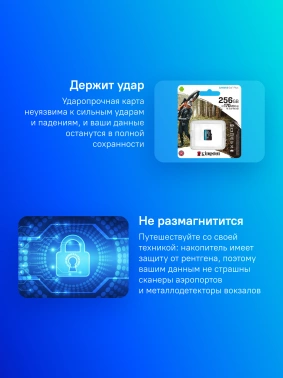 Флеш карта microSDXC 256GB Kingston  SDCG3/256GBSP