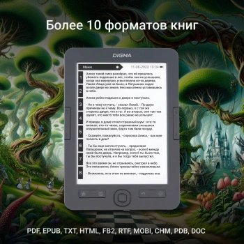 Электронная книга Digma K2