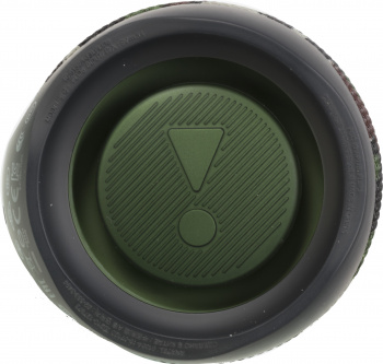 Колонка порт. JBL Flip 5