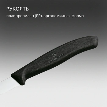 Нож кухонный Victorinox Swiss Classic