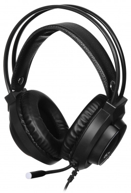 Наушники с микрофоном SunWind SW-HS510G