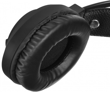 Наушники с микрофоном SunWind SW-HS510G