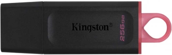 Флеш Диск Kingston 256Gb DataTraveler Exodia
