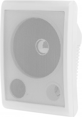 Громкоговоритель Tantos  TSo-SW6a