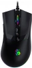 1431298_v01_s.webp