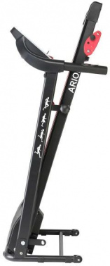 Беговая дорожка DFC  Arion