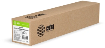 Холст Cactus CS-MC230-61030
