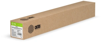 Холст Cactus CS-MC230-91430