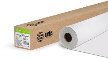 Холст Cactus CS-GC260-106730