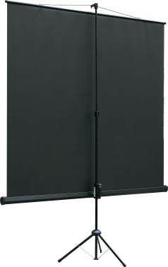 Экран на треноге Lumien 116