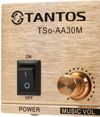 Усилитель Tantos  TSo-AA30M