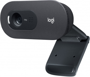 Камера Web Logitech HD Webcam C505e