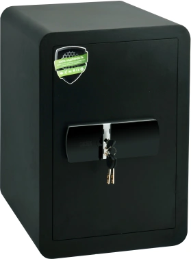 Сейф мебельный Cactus  CS-SF-T50