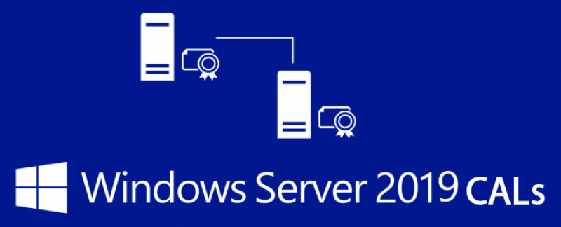 ПО Microsoft Windows Server CAL 2019 Rus 1pk DSP OEI 5 Clt Device CAL lic (R18-05838)