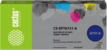 Чернила Cactus CS-EPT6731-6 T673