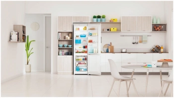Холодильник Indesit ITR 4200 W