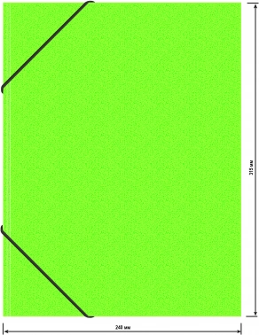 Папка на резинке Бюрократ Double Neon DNE510LETTBL A4 пластик кор.30мм 0.5мм салатовый/черный