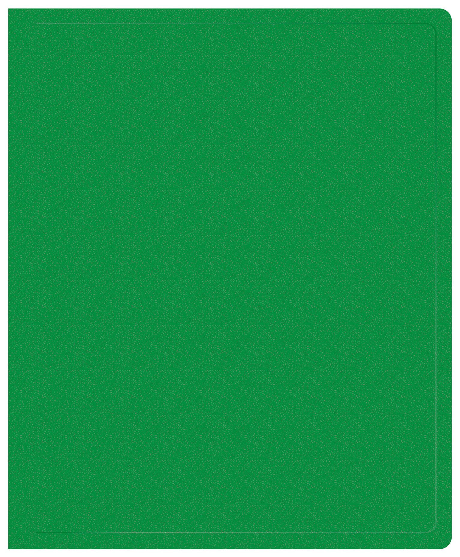 Папка на 2-х кольцах Buro -ECB413/2RGREEN A4 пластик 0.5мм зеленый