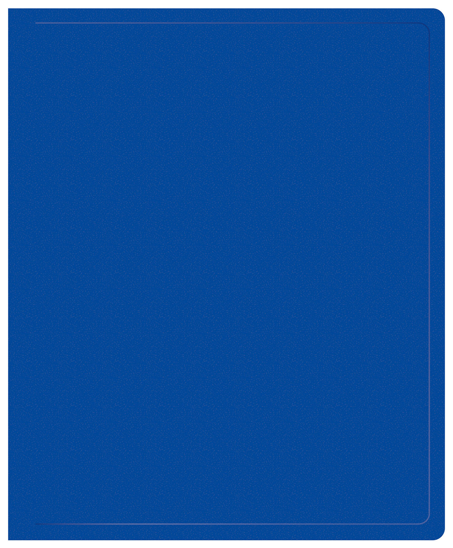 Папка на 2-х кольцах Buro -ECB0430/2RBLUE A4 пластик 0.5мм синий