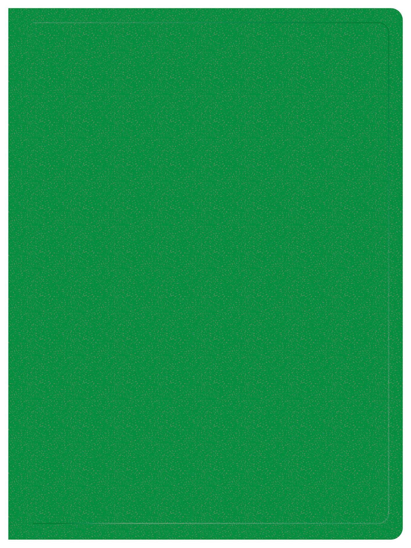 Папка с 20 прозр.вклад. Buro -ECB20GREEN A4 пластик 0.5мм зеленый