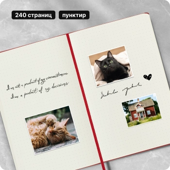 Блокнот Moleskine CLASSIC QP066F2 Large 130х210мм 240стр. пунктир твердая обложка красный