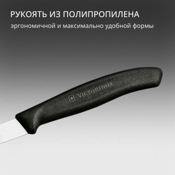 Нож кухонный Victorinox Swiss Classic