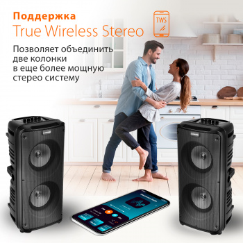 Минисистема SunWind SW-MS30