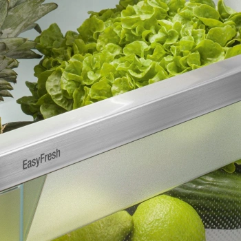 Холодильник Liebherr ICSe 5103