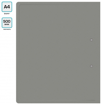 Папка на 2-х кольцах Buro -ECB0420/2RGREY A4 пластик 0.5мм серый