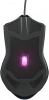 1533541_v14_s.webp